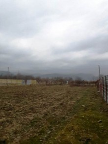 Satılır Torpaq, Qəbələ.ş-2