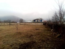 Satılır Torpaq, Qəbələ.ş-7