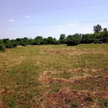 Satılır Torpaq, Qəbələ.ş-13