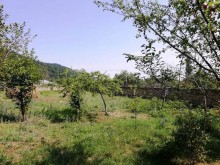 Satılır Torpaq, Qəbələ.ş-1