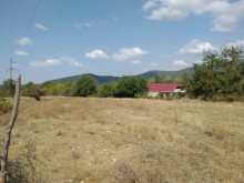Satılır Torpaq, Qəbələ.ş-1
