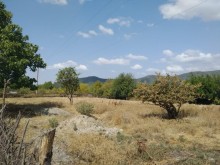 Satılır Torpaq, Qəbələ.ş-6