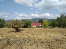 Satılır Torpaq, Qəbələ.ş-7