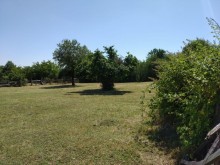 Satılır Torpaq, Qəbələ.ş-3