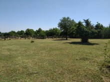 Satılır Torpaq, Qəbələ.ş-5