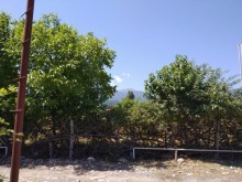Satılır Torpaq, Qəbələ.ş-7