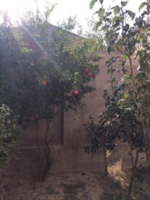 Satılır Həyət evi, Abşeron.r-19