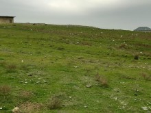 Satılır Torpaq, Abşeron.r, Masazır-3