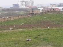 Satılır Torpaq, Abşeron.r, Masazır-5