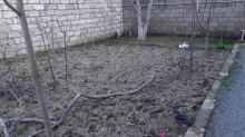 Satılır Həyət evi, Xəzər.r, Binə-8