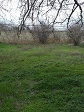 Satılır Torpaq, Suraxanı.r, Qaraçuxur, Xalqlar Dostluğu m..m-1