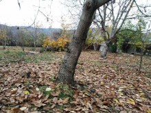 Satılır Torpaq, Qəbələ.ş-3