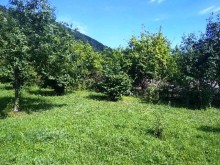 Satılır Torpaq, Qəbələ.ş-1