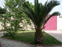 Satılır Həyət evi, Xəzər.r, Buzovna-7