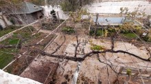 Satılır Həyət evi, Xəzər.r, Türkan-4