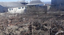 Satılır Torpaq, Suraxanı.r, Bülbülə, Koroğlu.m-2