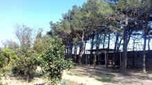 Satılır Torpaq, Sabunçu.r, Maştağa-11