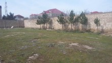 Satılır Torpaq, Xəzər.r, Şağan-5