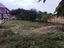 Satılır Torpaq, Qəbələ.ş-4
