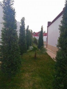 mərdəkan bağ evi, -14