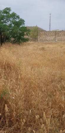 Satılır Torpaq, Xəzər.r, Zaqulba-6