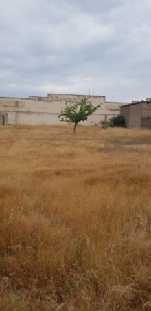 Satılır Torpaq, Xəzər.r, Zaqulba-7