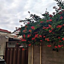 Satılır Həyət evi, Xəzər.r, Mərdəkan-1