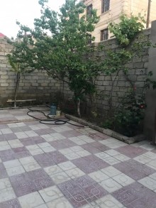 qaracuxurda ev elanlari ., -2