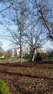 Satılır Torpaq, Qəbələ.ş-2