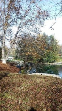 Satılır Torpaq, Qəbələ.ş-8