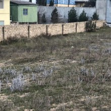 buzovnada torpaqların qiyməti, -3