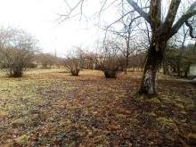 Satılır Torpaq, Qəbələ.ş-2