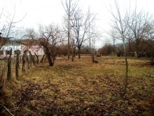 Satılır Torpaq, Qəbələ.ş-4