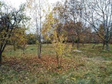 Satılır Torpaq, Qəbələ.ş-3