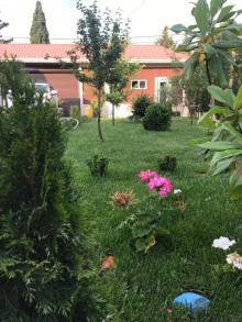 mərdəkan bağ evi almaq, -12