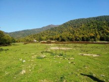 Satılır Torpaq, Qəbələ.ş-2