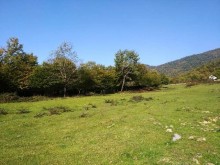 Satılır Torpaq, Qəbələ.ş-3