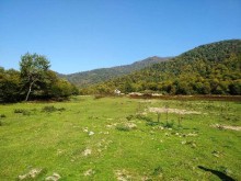 Satılır Torpaq, Qəbələ.ş-4