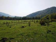 Satılır Torpaq, Qəbələ.ş-5