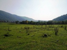 Satılır Torpaq, Qəbələ.ş-7