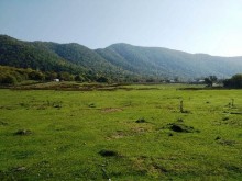 Satılır Torpaq, Qəbələ.ş-8