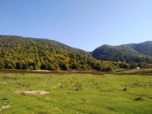 Satılır Torpaq, Qəbələ.ş-10