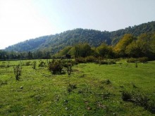 Satılır Torpaq, Qəbələ.ş-12
