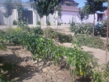 Satılır Həyət evi, Abşeron.r, Mehdiabad-9