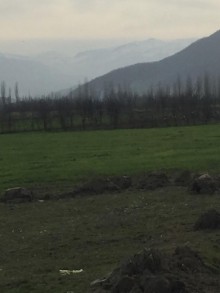 Satılır Torpaq, Quba.ş-8