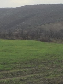 Satılır Torpaq, Quba.ş-9