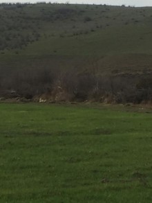 Satılır Torpaq, Quba.ş-10