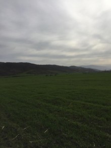 Satılır Torpaq, Quba.ş-13