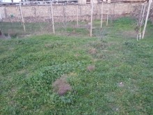 Satılır Torpaq, Xəzər.r, Şüvəlan, Koroğlu.m-5