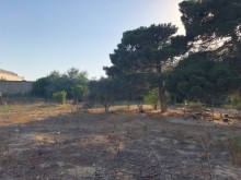 Satılır Torpaq, Xəzər.r, Mərdəkan, Koroğlu.m-3